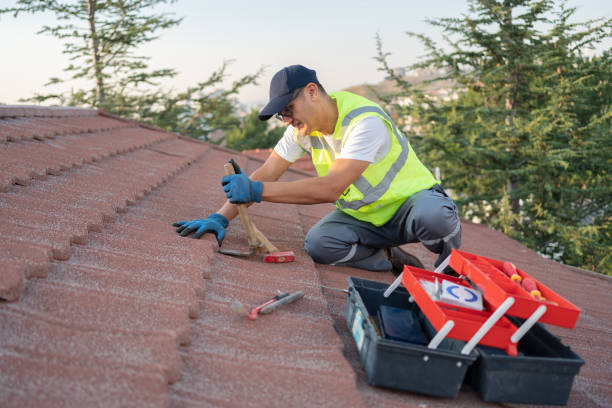 Best Flat Roof Repair Services  in Cape Girardeau, MO